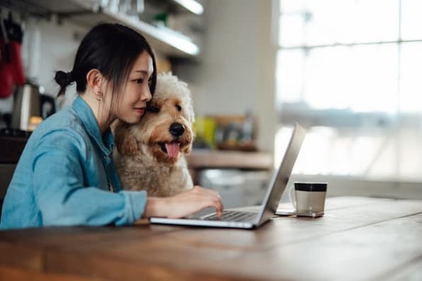 Person and their dog researching cheap web design tips at their kitchen table. 